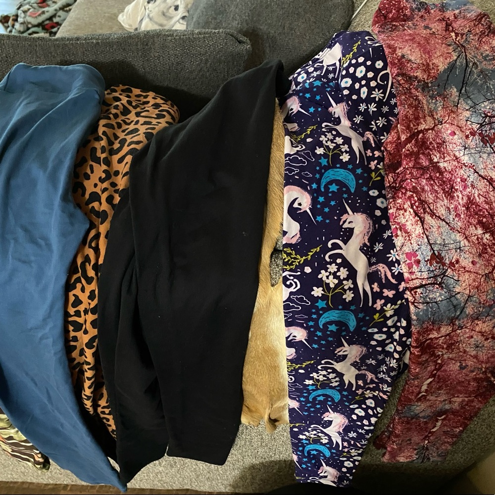 14 pairs lularoe leggings